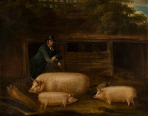 ハリー・グリーン、ピッグマン、豚小屋で豚を飼う、1794〜1843年頃（キャンバスに油彩）