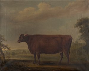 風景の中の赤いデボン雌牛、1812年頃（キャンバスに油彩） 作： Thomas Weaver