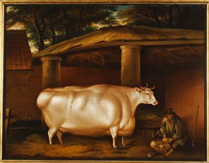 旅行した白い雌牛、安定した庭でカブをスライスする男、1811年 作： Thomas Weaver