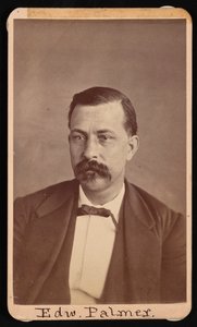エドワード パーマーの肖像 1829 ～ 1911 年、1900 年以前。 作： Thomas William Smillie