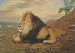 ライオン 作： Thomas William Wood