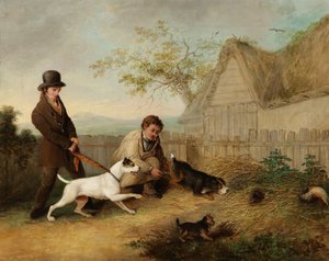 ラットキャッチ 作： Thomas Woodward