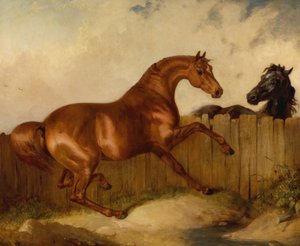 牡馬と牝馬（油彩・キャンバス 作： Thomas Woodward
