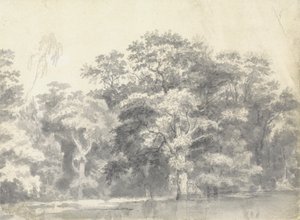 川岸の木々 作： Thomas Wyck