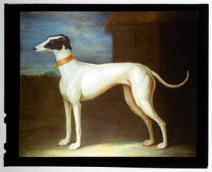 お気に入りのグレイハウンド 作： Thomas of Pall Mall Butler