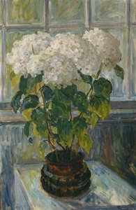 あじさい 作： Thorolf Holmboe