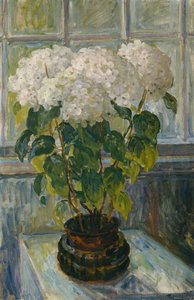 あじさい 作： Thorolf Holmboe
