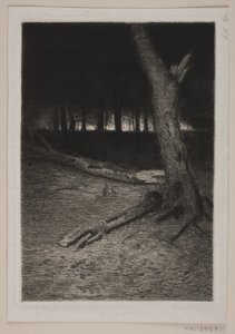 森のインテリア。 夜 作： Thorvald Niss