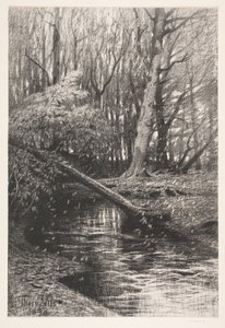 小川のある森の風景 作： Thorvald Niss