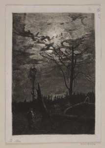 森林破壊。 夜 作： Thorvald Niss