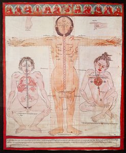 解剖図、1938（キャンバスに敷かれた布にペンと水彩） 作： Tibetan School