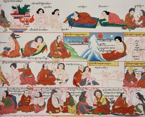 チベット医学の原稿（389729の詳細） 作： Tibetan School