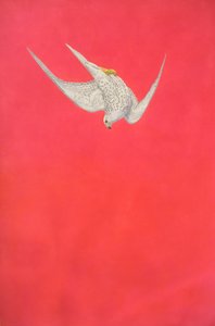 ピンクの急降下;ギルファルコン 作： Tim Hayward