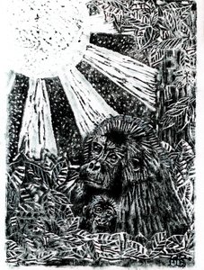 ジャングルのゴリラ一家 作： Tim Hoinkis