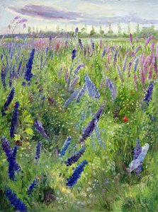 デルフィニウムとエマージングサン 作： Timothy Easton