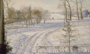 ムーア人の検索 作： Timothy Easton