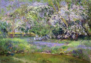 ウッドランドハイブ 作： Timothy Easton