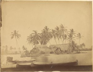 [リモン湾、ダリエン地峡（パナマ）]。
