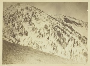ネバダ州ブルラン鉱山地区、スノーピークス 作： Timothy O