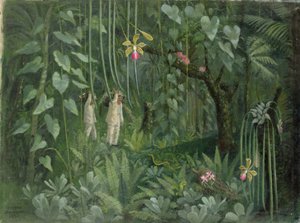 ブラジルのランハンター 作： Tirzah Ravilious