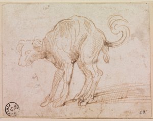 紅海を渡る犬のディテール （紙にペン・インク） 作： Titian (c.1488 1576)