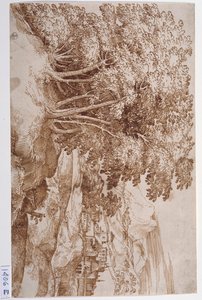 左に木々、背景に街のある風景（紙にペン・インク） 作： Titian (c.1488 1576)