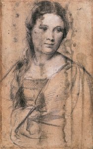 ティツィアーノ（1490年頃～1576年）による少女の肖像、ドローイング