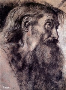 老人の頭部 ティツィアーノ・ヴェチェッリオ（ティツィアーノ）（1485-1576）による素描 16世紀 パリ、ルーヴル美術館 作： Titian (c.1488 1576)