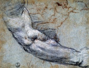 腕の研究」ティツィアーノ（1488年頃～1576年）作、デッサン 作： Titian (c.1488 1576)