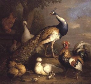 風景の中の孔雀・雉・鶏 作： Tobias Stranover