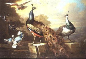 風景の中の孔雀と孔雀 作： Tobias Stranover