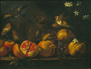 ザクロ、ブドウ、鳥、リスのある静物 作： Tommaso Realfonso