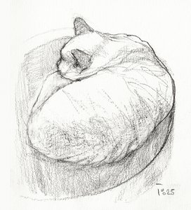 丸まってくつろぐ猫 作： Tore Bahnson