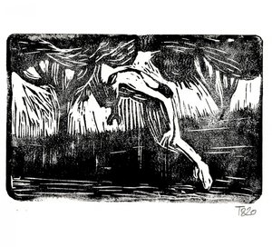 森へと落ちていく 作： Tore Bahnson