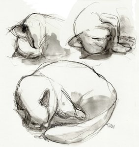 眠る猫に関する研究 作： Tore Bahnson