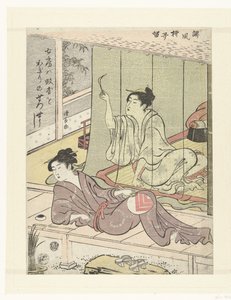夏の夜の 2 人の女性 ユーモラスな詩集（連載タイトル） 俳風やなぎだる