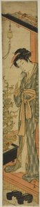 歯を磨きながら朝顔を眺める女性 作： Torii Kiyonaga
