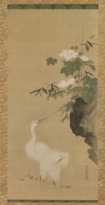 白鷺と木綿の薔薇 17世紀中頃から後半にかけて 作： Tosa Mitsuoki