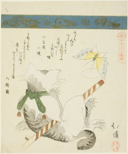 「三十六鳥図」シリーズより おもちゃの蝶と戯れる猫 作： Totoya Hokkei