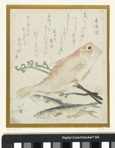 三魚とワラビ 作： Totoya Hokkei