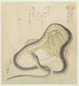 過去と現在の聞いたことのアンソロジー ちょうもんじゅ 日本語の文章の比較（シリーズタイトル） 和書くらべ 作： Totoya Hokkei
