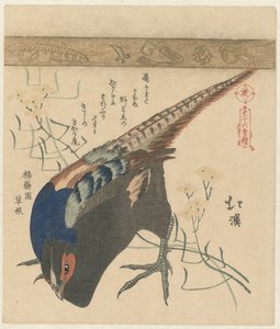 キジ 三十六版画シリーズ（シリーズ名） 三十六番続き 作： Totoya Hokkei