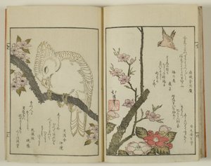 百町京香 作： Totoya Hokkei