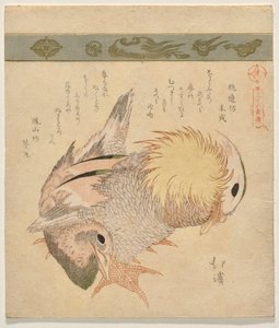 オシドリのつがい