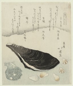 千鳥貝、生ムール貝、錦貝 千鳥貝なまかき錦貝 一連のシェル (シリーズ タイトル) かいつくし 作： Totoya Hokkei