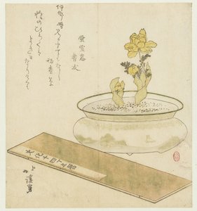 鉢植えと年鑑 作： Totoya Hokkei