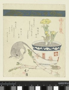 ラットとアドニスと一緒に来る 三十六鳥シリーズ（シリーズタイトル） 三十六とりつくし 作： Totoya Hokkei