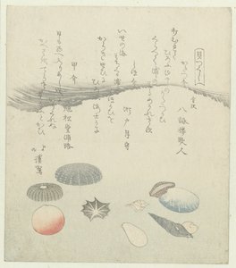 赤と青の丸い貝殻と小さい貝殻 一連のシェル (シリーズ タイトル) かいつくし 作： Totoya Hokkei