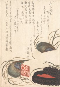 孔雀の羽をあしらった封石と封印、春雨摺物帖H...、おそらく1817年。 作： Totoya Hokkei