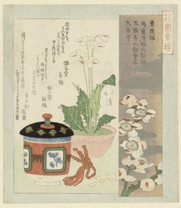 プリムラの花のある静物 作： Totoya Hokkei